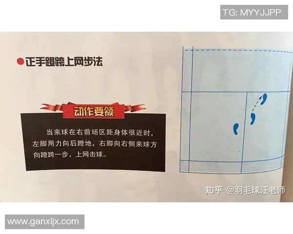 重庆羽毛球队比赛经验深度对比分析与提升策略探讨